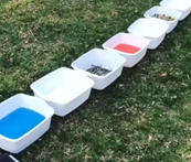 A row of white bins on grass, each filled with different items such as blue-colored water and sand