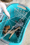 A teal laundry basket with string criss-crossed across the top with toy animals inside