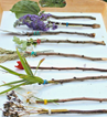 Paintbrushes made from sticks and leaves