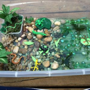A plastic bin with water, small rocks, plants, and plastic animals