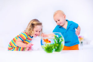 Two young children watch a goldfish swim in a bowl